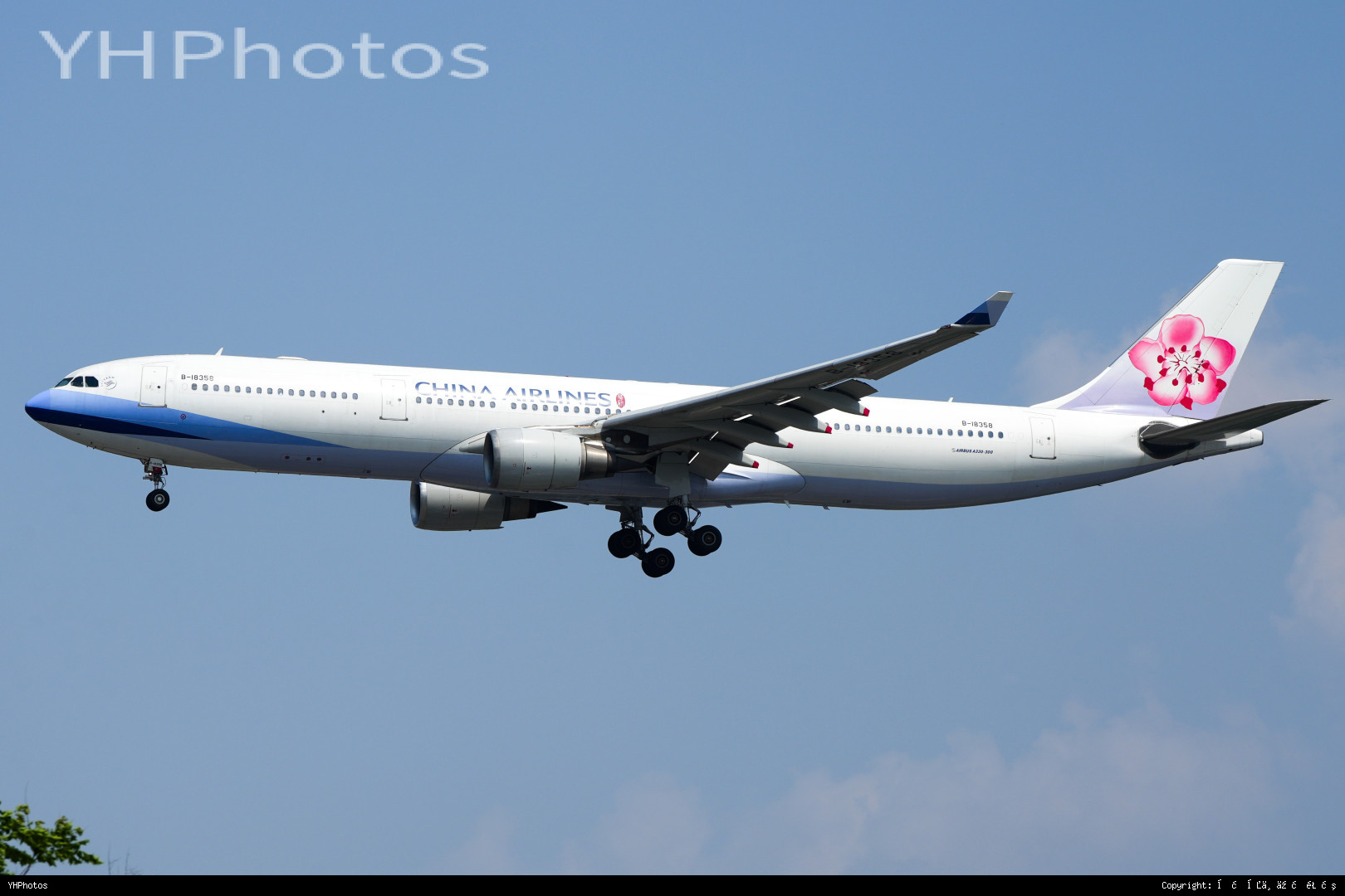 今晚我收到的所有钱都将用于网站优化