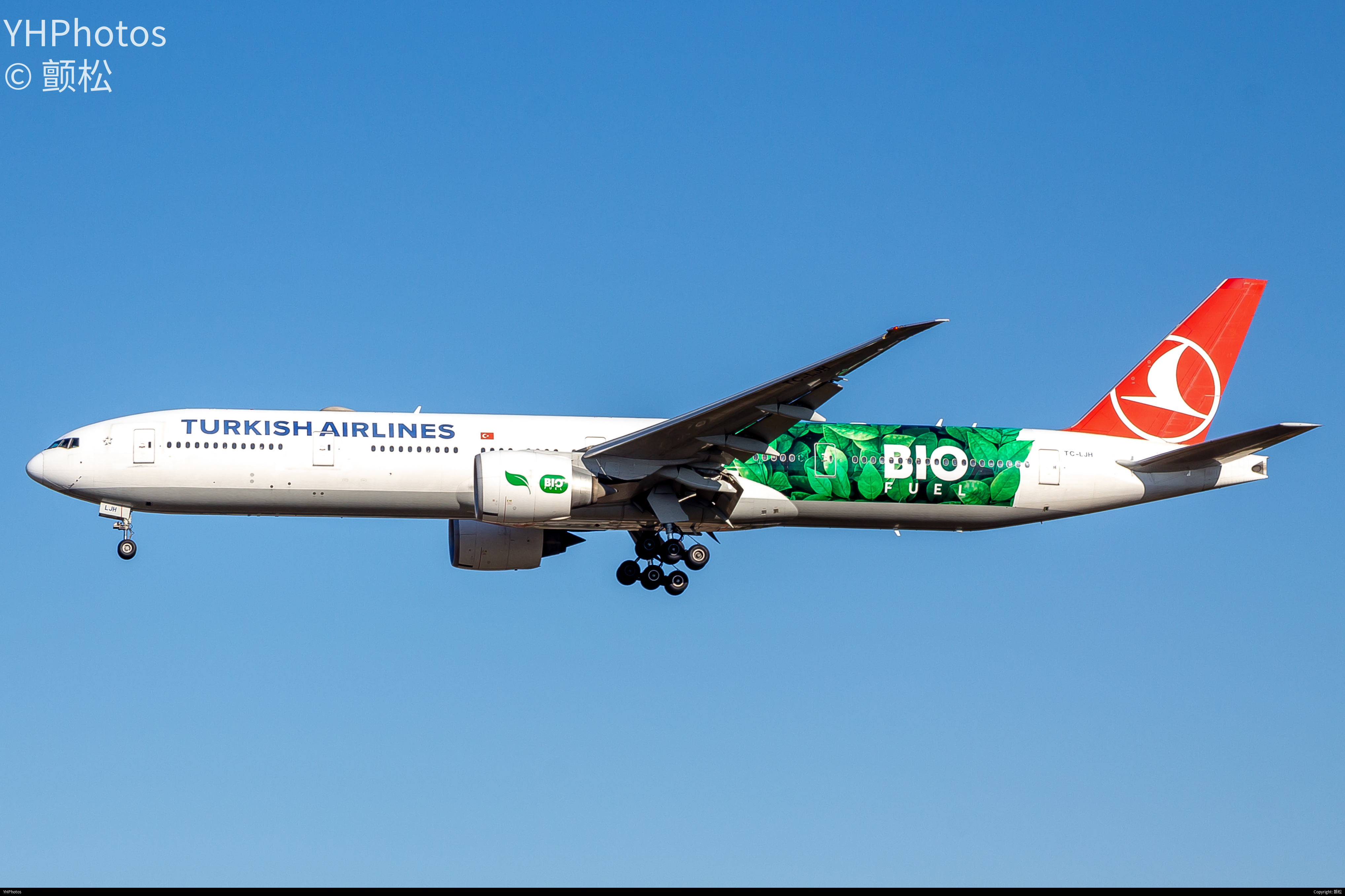 土耳其航空生物燃料涂装