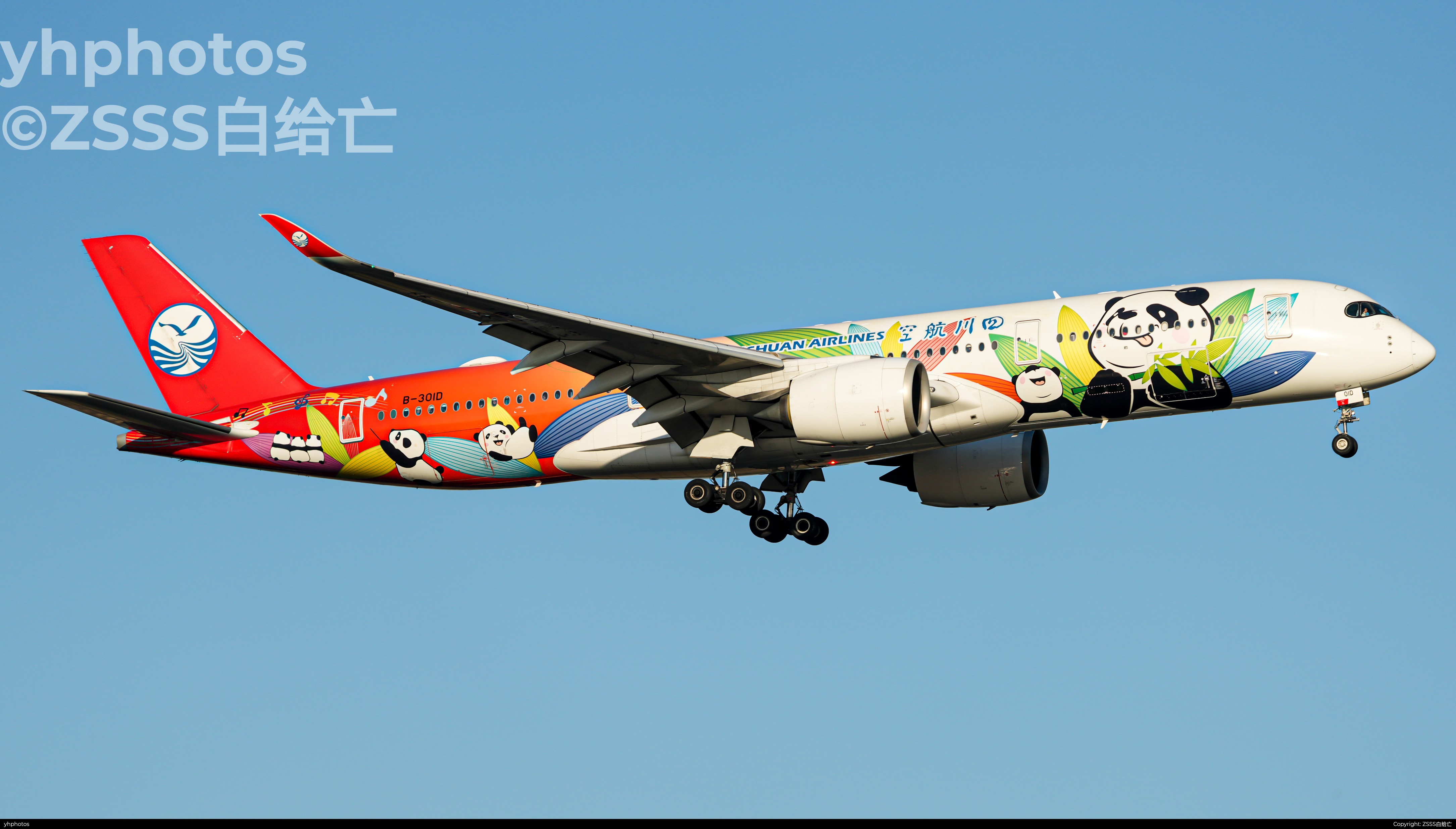 川航彩绘359黄金光落地