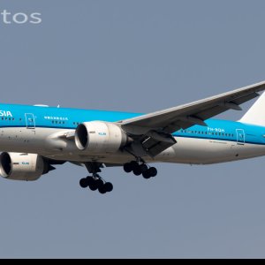 荷兰烤冷面小彩绘